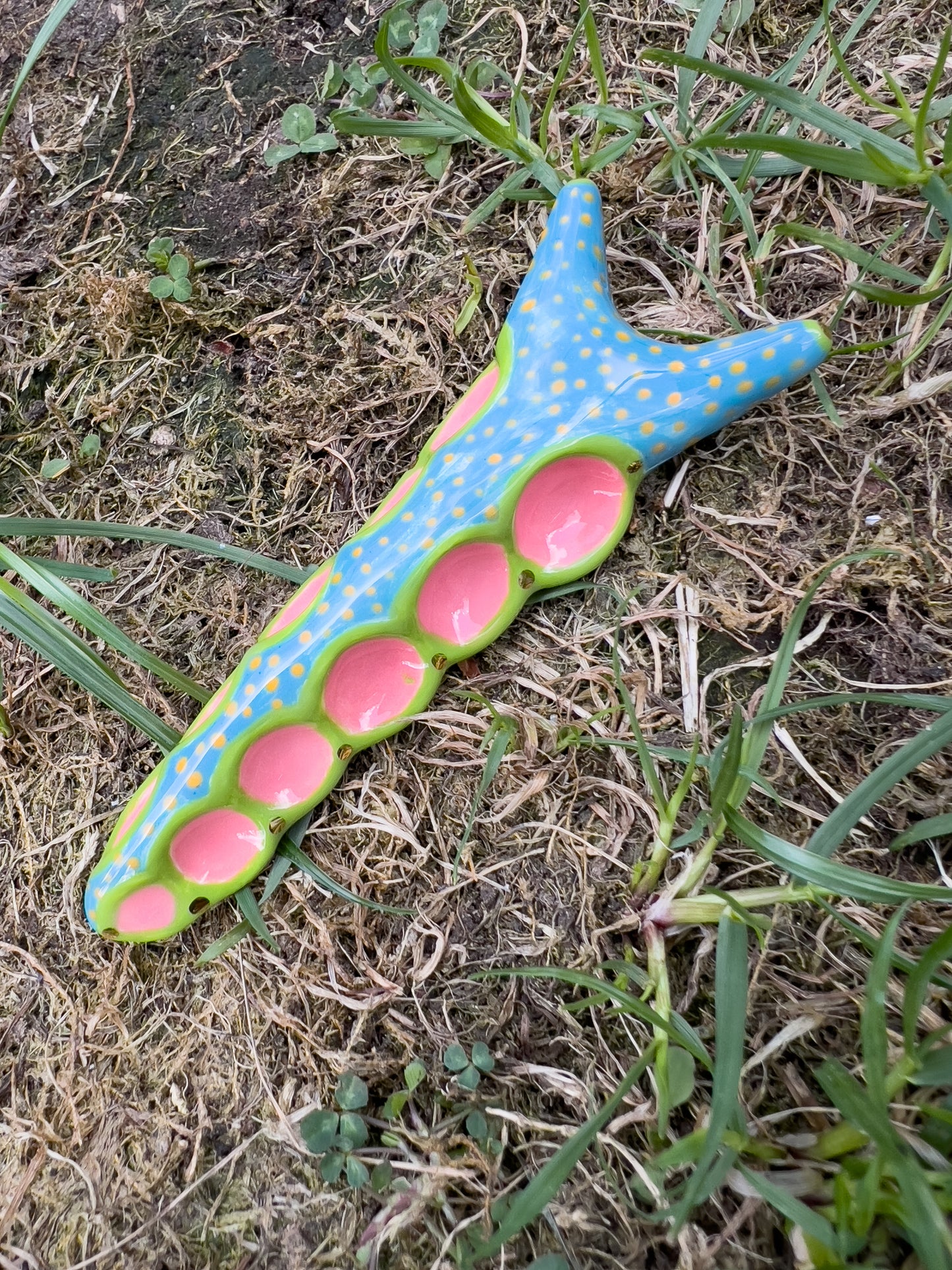 Nudibranch - Sea Slug blue, pink, green