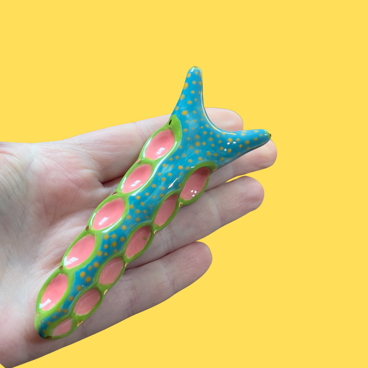 Nudibranch - Sea Slug blue, pink, green