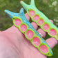 Nudibranch - Sea Slug blue, pink, green